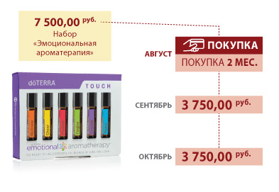 Пример рассрочки на два месяца Пример рассрочки на два месяца